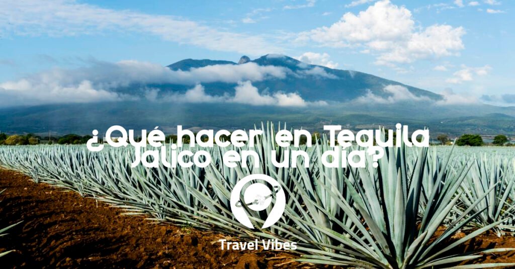 ¿Qué hacer en Tequila Jalisco?