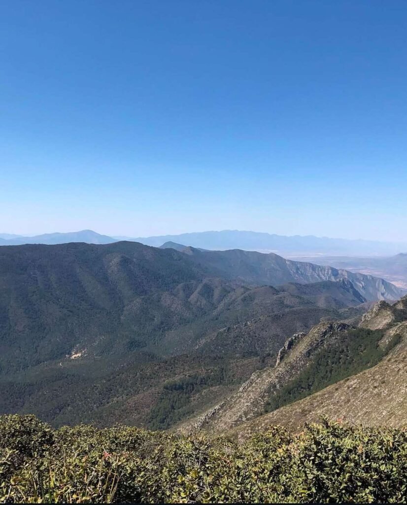 Sierra de Zapalinamé